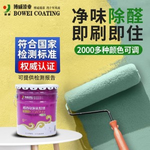 内墙乳胶漆室内家用硅藻泥涂料艺术涂料白色内墙涂料牌子翻新墙漆
