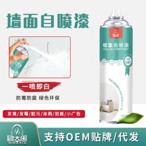 漆大侠 墙面自喷漆补墙涂鸦污渍水性墙面修补漆白色自喷漆批发