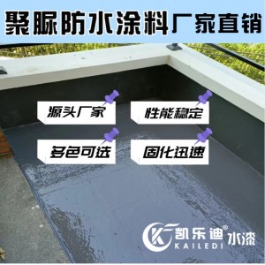 聚脲防水涂料游泳池看台屋顶防滑高弹耐磨防水涂料 承接工程