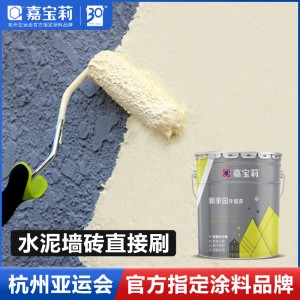 嘉宝莉新家园外墙漆防水防晒乳胶漆墙面漆环保油漆涂料彩色翻新